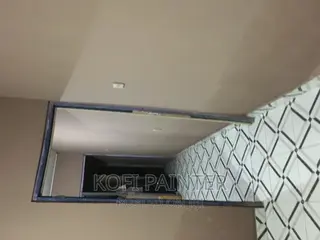 Professional Painters