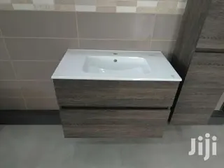 Professional Plumber