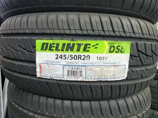 245/50r20 Delinte Ds8 Desert Storm Ii 102v SUV Tyre