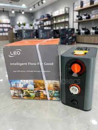 Automatic 1hp Leo 1hp Interligent Pump