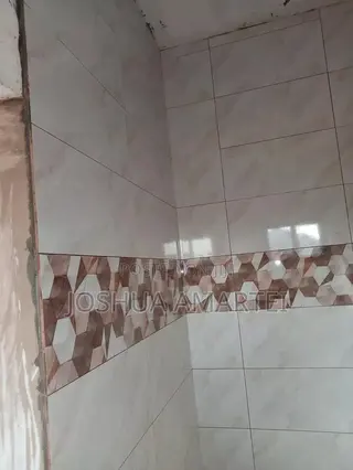 Professional Tiler