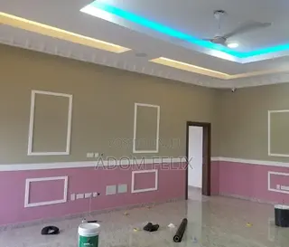 Excellent Painter