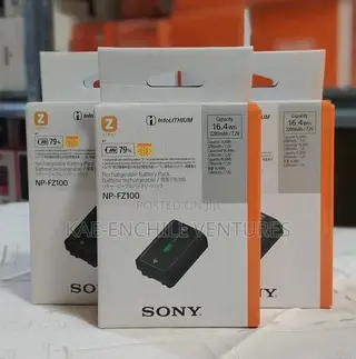 Sony NP-FZ100 Battery