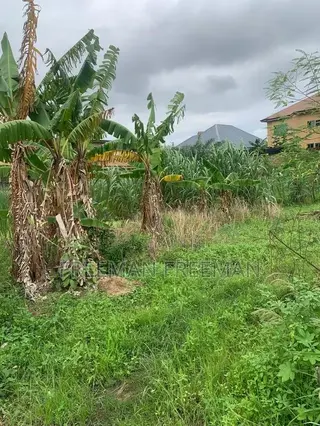 A Plot of Land for Building