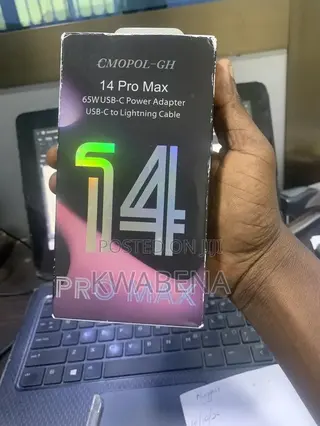 iPhone Charger