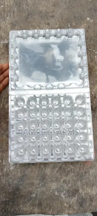 Quail Egg Crates