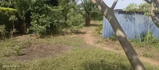 Roadside Land 4 Sale at Oyarifa