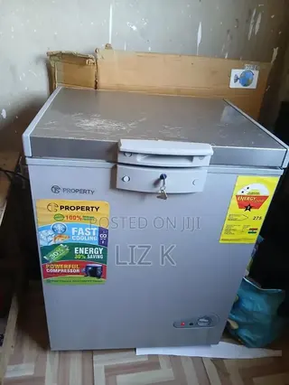 Property Chest Freezer