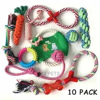 Dog Playing Toys
