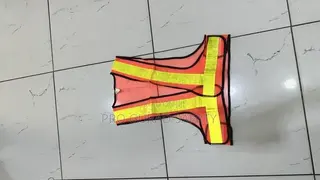 Security Belt Vest
