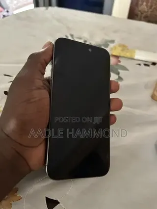 Apple iPhone 15 Pro Max 256 GB Gray
