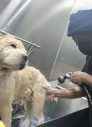 Pet Grooming in Accra Ghana | Dogs & Cats