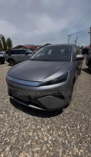 New BYD Yuan Plus 2025 Gray