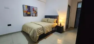 Furnished 1bdrm Apartment in Dzorwulu for rent