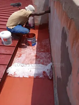 Roof Leakages Professional