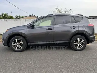 Toyota RAV4 XLE 4dr SUV AWD (2.5L 4cyl 6A) 2018 Gray