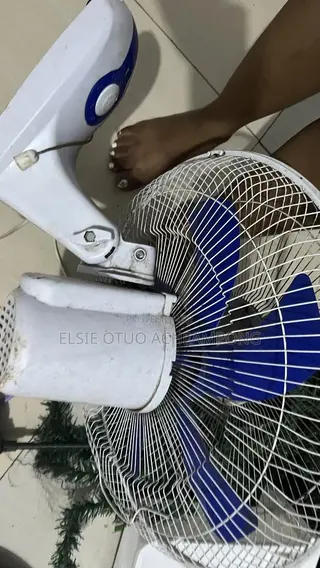 Wall Fan for Sale