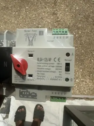 Automatic Changeover ( Single Phase)100amps