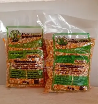 Honampa Maize Seeds