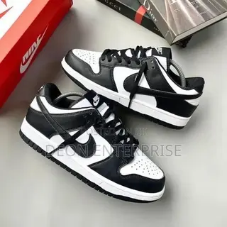 Nike Air SB Dunk Black