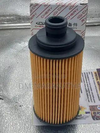Oil Filter for Cherry and Other Chinese Car Brands