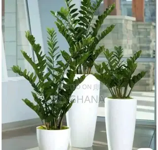 Gardener, or Landscape Design.