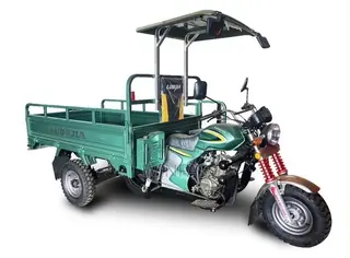 New Luojia Motorized Tricycle 2026