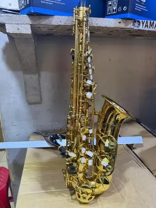 Gold-Lacquered Brass E-Flat Alto Saxophone