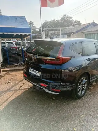 Cars Rentals