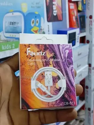 iPhone USB Cable