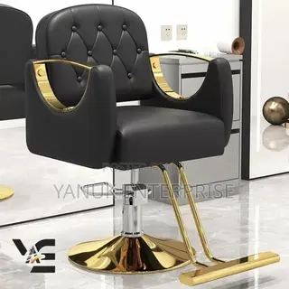 Salon Chair