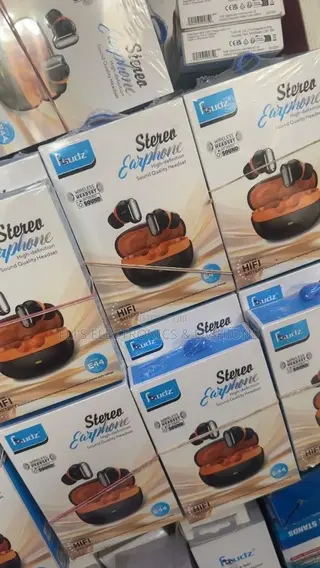 Fsudz Sterer Earphones