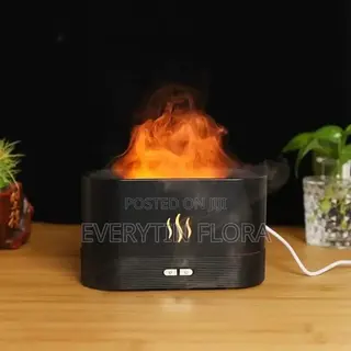Humidifier or Essential Oil Diffuser