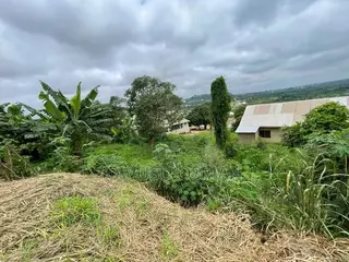 One Plot of Land for Sale