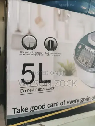 Domestic Rice Cooker