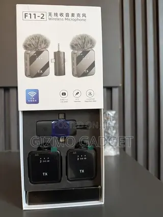 Wireless Mic