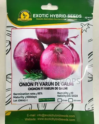 Onion Seeds