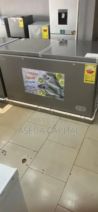 410L Chest Freezer
