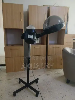 Standing Hair Steamer