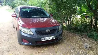 Toyota Corolla LE 4dr Sedan (1.8L 4cyl 4A) 2010 Red