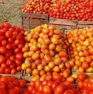 Good Food Available