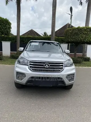 Great Wall Pao 2.0 Diesel RWD 2019 Gray