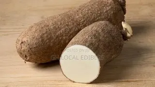 Tubers of Yam
