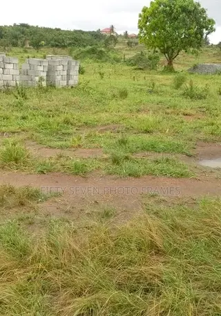 Half Plot of Land