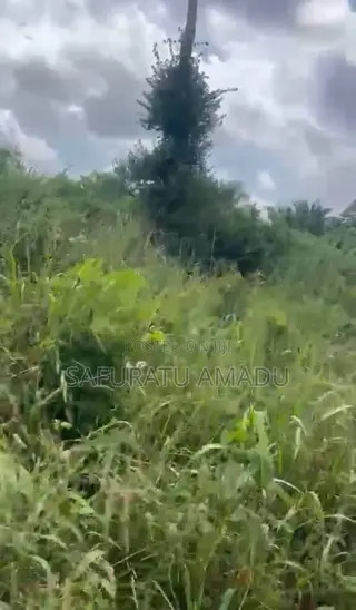 Land for Sale