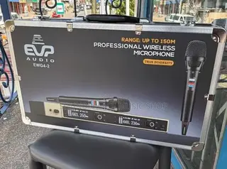 Evp Audio Ewg4 2in1 Professional Wireless Microphone