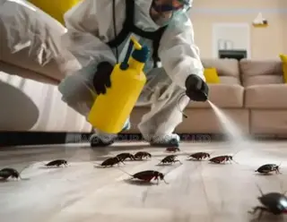 Fumigation & Pest Control 4u