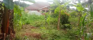 75ft×120ft Plot of Land @Kotwi Tweneduase