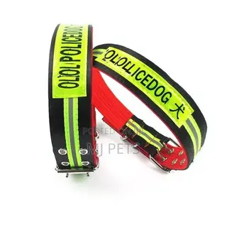 Nylon Police Dog Collar