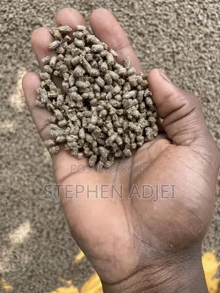 Catfish Feed/Fish Feed in Different